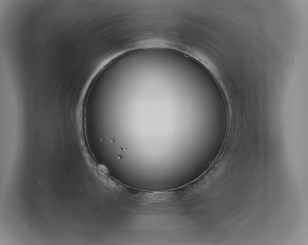 X0000111431008200907201104