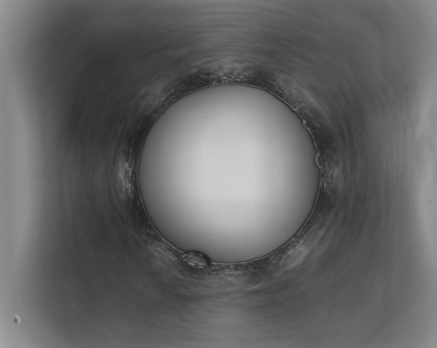 X0000111431010200907201104