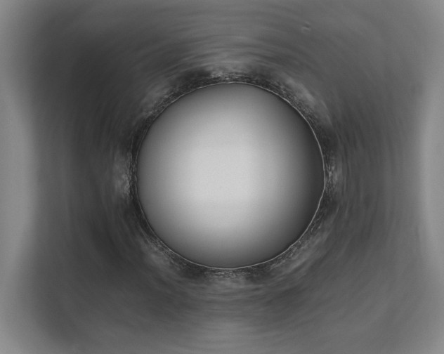 X0000111431012200907201104