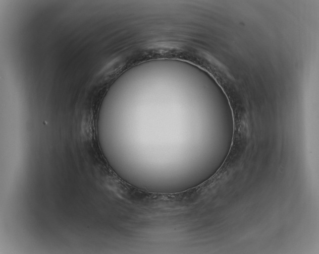 X0000111431014200907201104