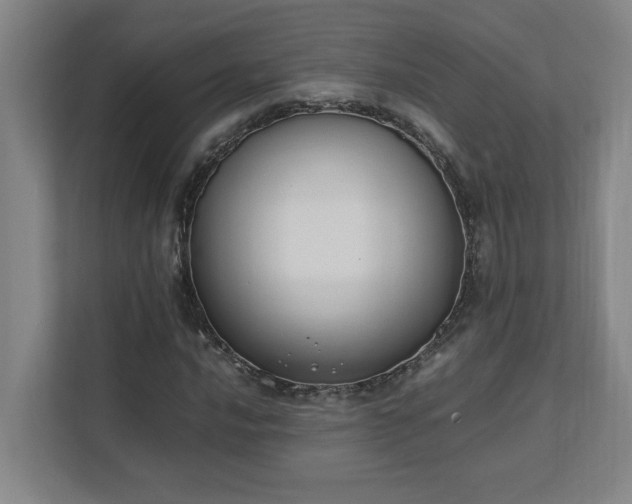 X0000111431016200907201104