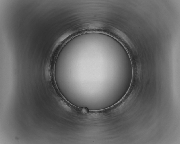 X0000111431018200907201104