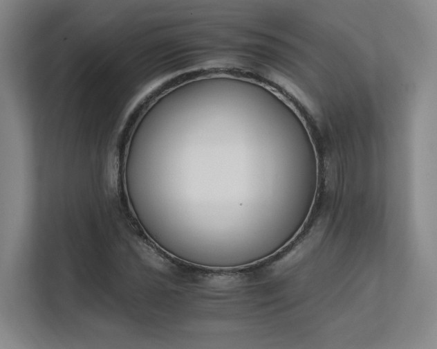 X0000111431021200907201104