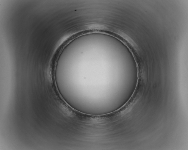 X0000111431022200907201104