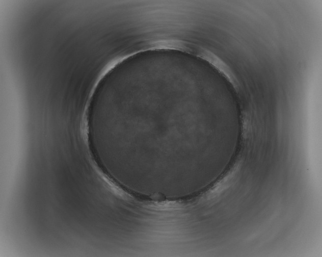 X0000111431024200907201104