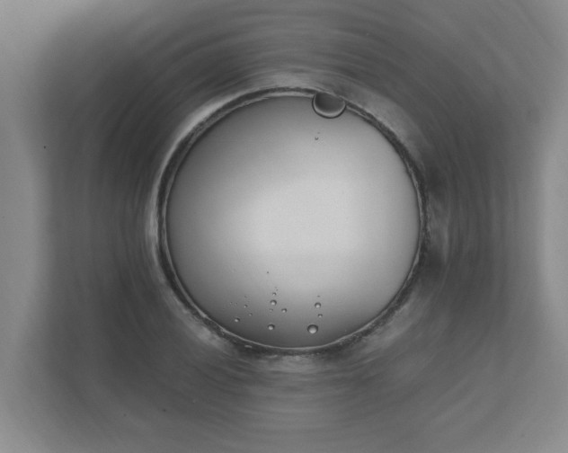 X0000111431028200907201104