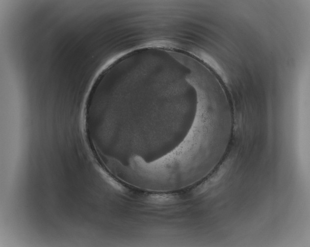 X0000111431037200907201104