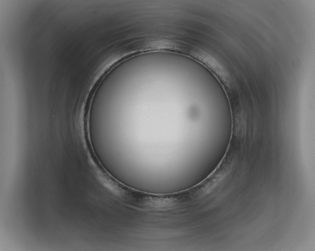 X0000111431039200907201104