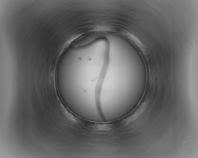 X0000111431041200907201104