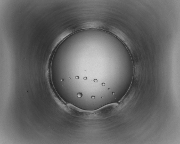 X0000111431042200907201104