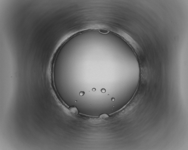 X0000111431046200907201104