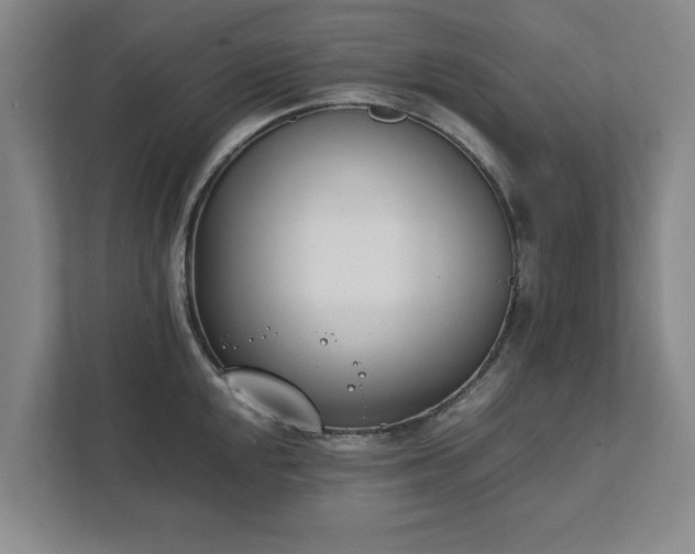 X0000111431048200907201104