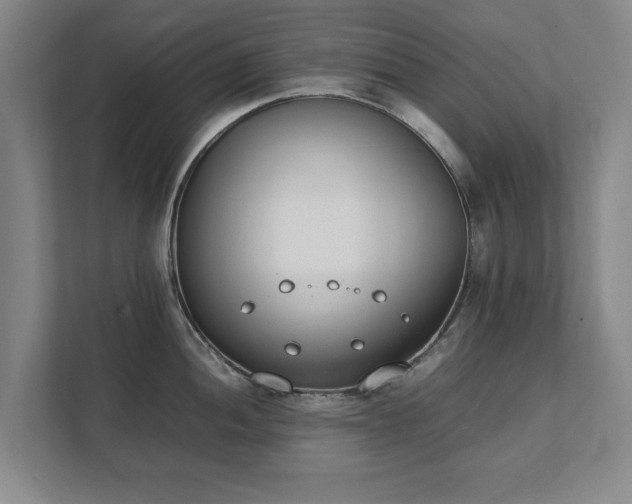 X0000111431052200907201104