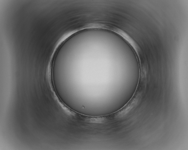 X0000111431053200907201104