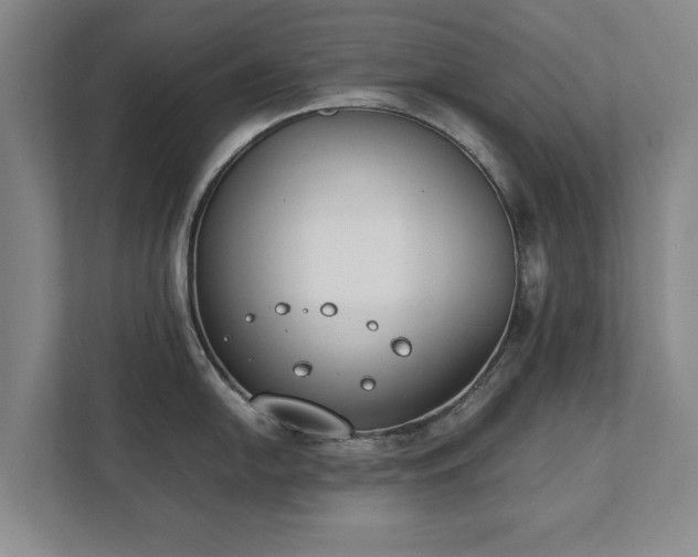 X0000111431054200907201104