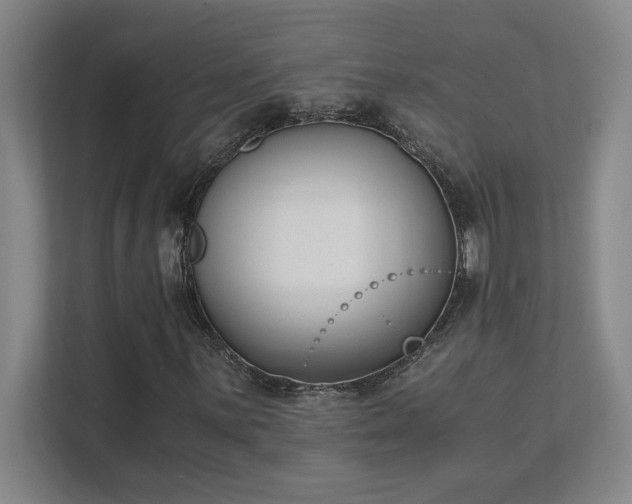 X0000111431059200907201104