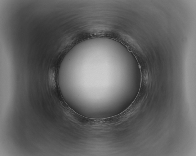 X0000111431060200907201104