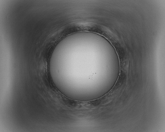 X0000111431061200907201104