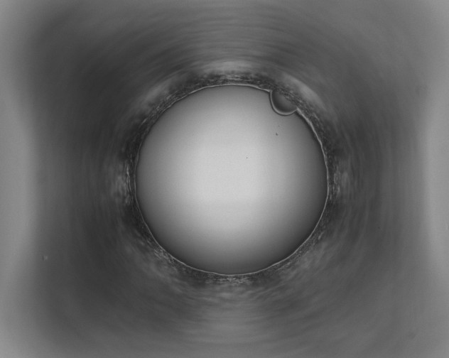 X0000111431062200907201104