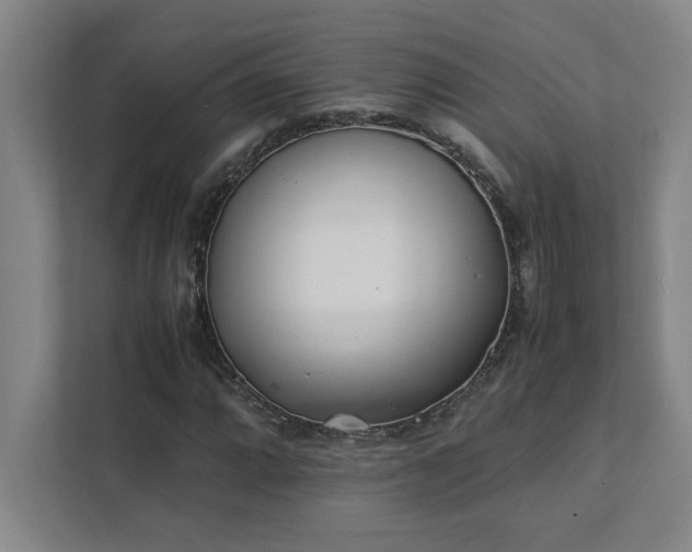 X0000111431064200907201104