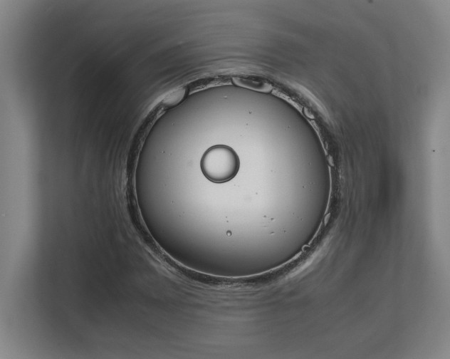 X0000111431065200907201104