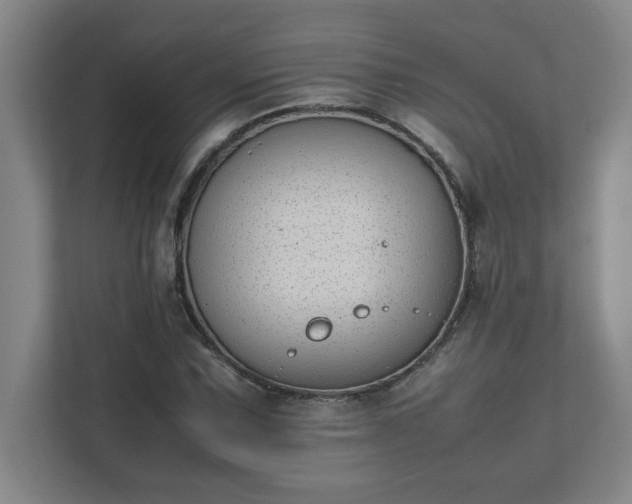 X0000111431067200907201104