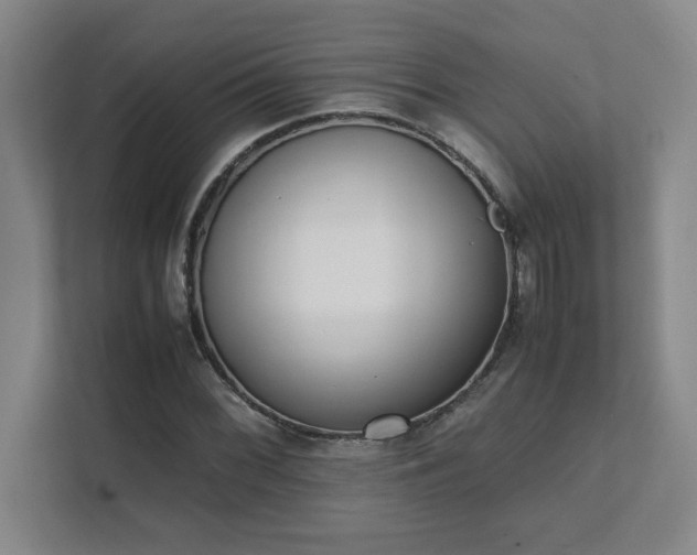 X0000111431068200907201104