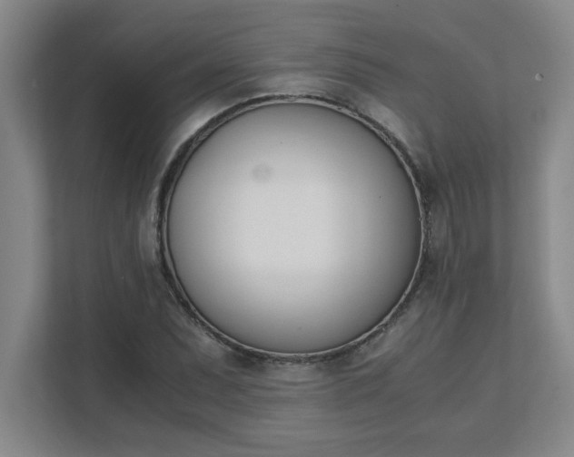 X0000111431071200907201104