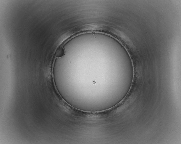 X0000111431073200907201104