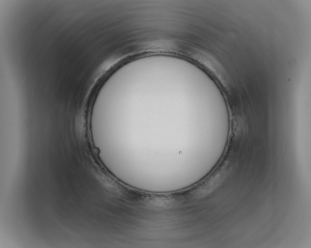 X0000111431074200907201104