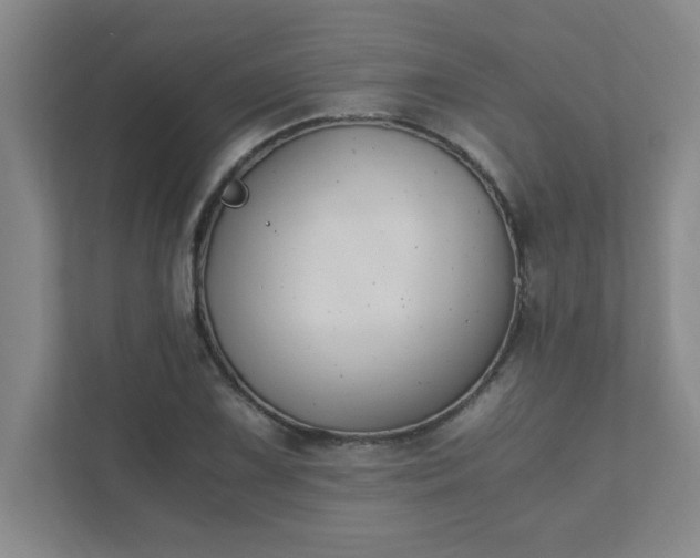 X0000111431075200907201104