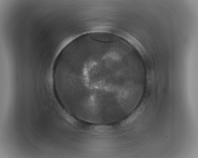 X0000111431077200907201104