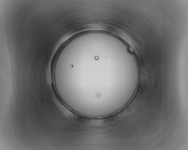 X0000111431080200907201103