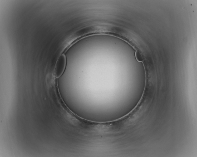 X0000111431081200907201103