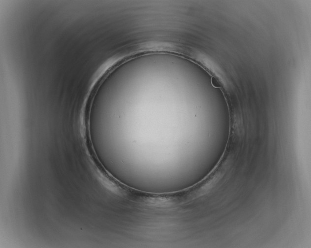 X0000111431082200907201103