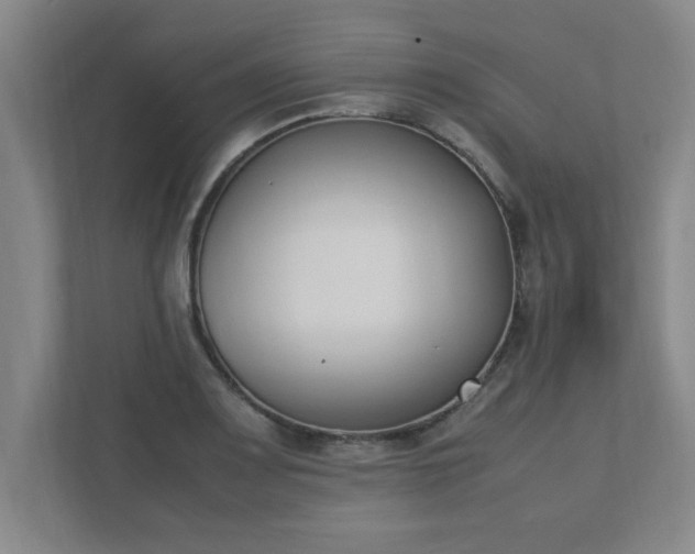 X0000111431083200907201103