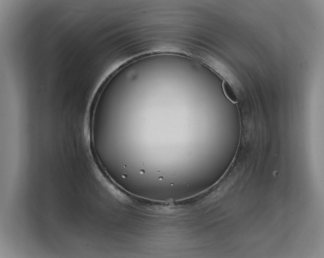 X0000111431084200907201103