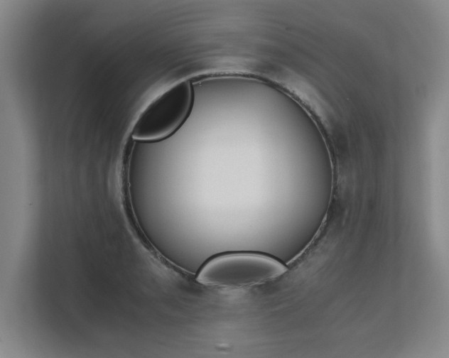 X0000111431085200907201103