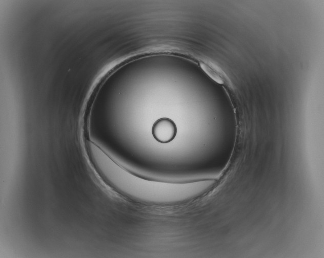 X0000111431086200907201103