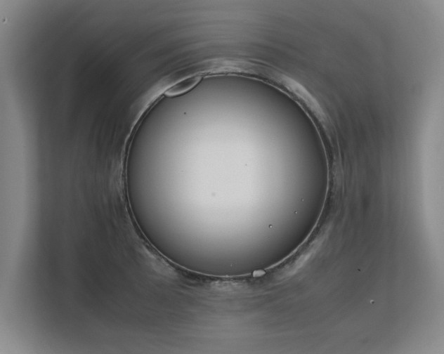 X0000111431089200907201103