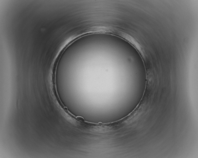 X0000111431091200907201103