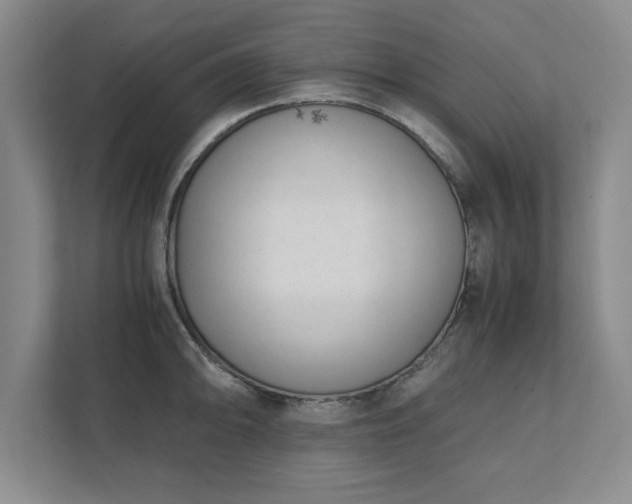 X0000111431094200907201103