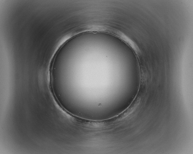 X0000111431095200907201103