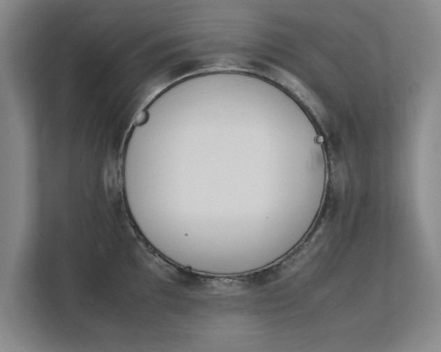 X0000111431097200907201103