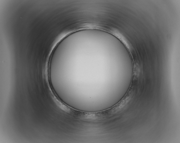 X0000111431098200907201103