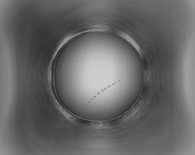 X0000111431099200907201103