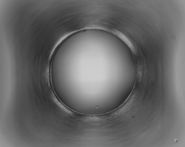 X0000111431100200907201103