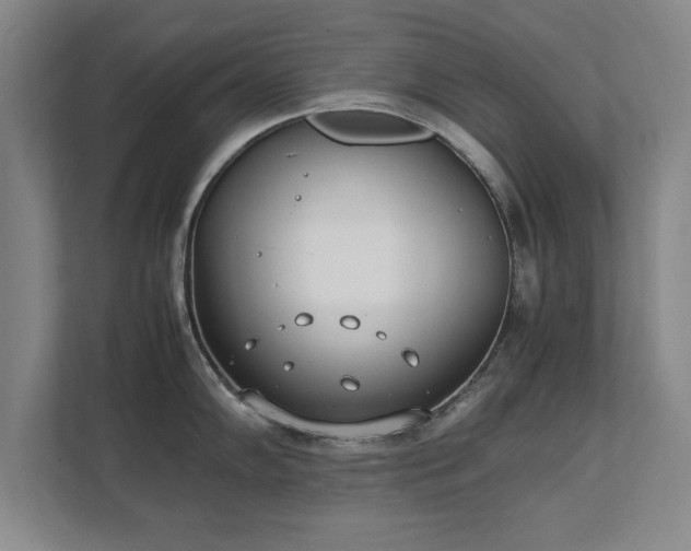 X0000111431102200907201103