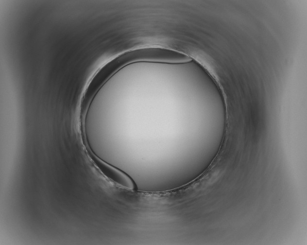 X0000111431104200907201103