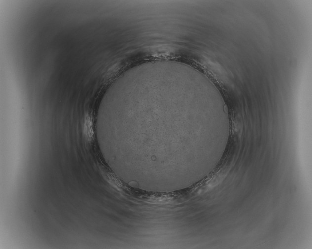 X0000111431106200907201103